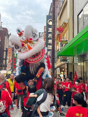 採青　５頭の獅子が中華街全域を舞う